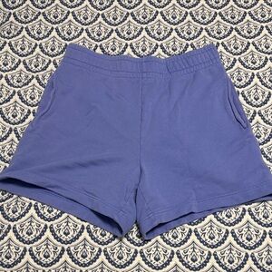 Aritzia Wilfred shorts